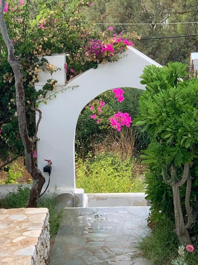 Irene'S House Piso Livadi Exterior photo